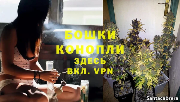 MESCALINE Верея